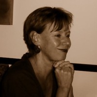 Karin van der Meer