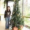 Julie Wong