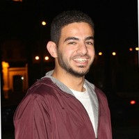 abdallah a.hassan