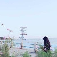 王青秀