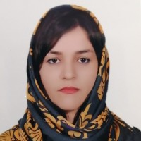 Somayeh Momeni
