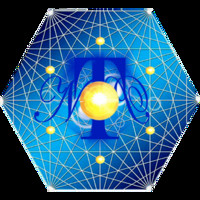 Network Token Payment