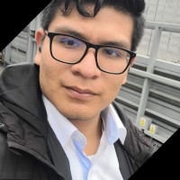 Ronald Antonio Onton Navarro