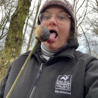 Kirsty Hawkes