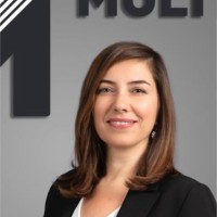Ahu Hacıömeroğlu Ergin