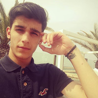 Jose Manuel Ferre Llario