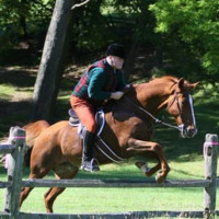 Brian Pinter