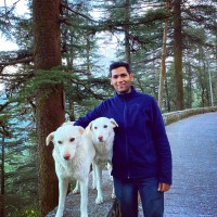 Mayank Dhasmana