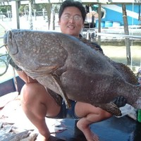 Peter Tiang
