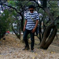 Acep Coy