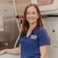 Dara McHugh