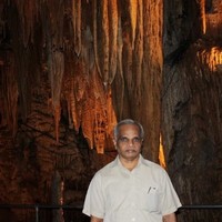 V Naganathan