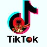 tiktok albania