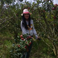 Dayana Lizet Borda Medina