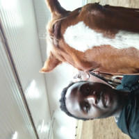 Tarlue Zulu