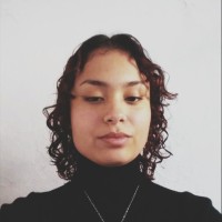 Alessandra Eduarda Candido Silva