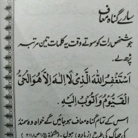 Salman Ansari