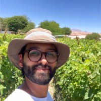 Felipe Ruiz Vega