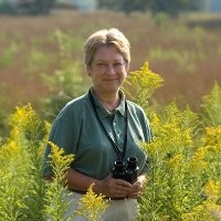 Barbara Brummer