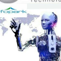 Infopark Internships