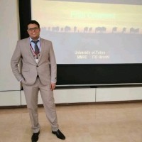 Ibrahim Ashour
