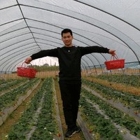 潘贤安