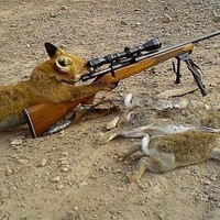 алиса встранечудес