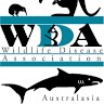 WDA-A Student Chapter