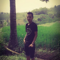 David Widiarto