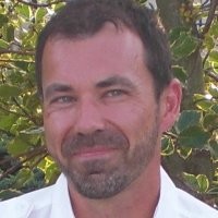 Harald Høgestøl