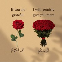 سناء الشمري