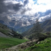 Raymond Brandwijk Bright Investigations