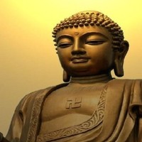 Hoangnghia Ho Tro