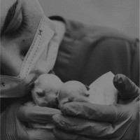 Cristian Alvarado