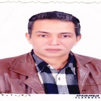 Magdy Hussine