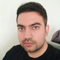 hossein soltanalizadeh maleki