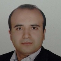 Javad Rajabi