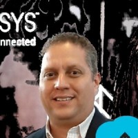 Nelson Francisco Ferreira Pena