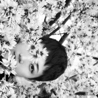 Jialin Yang