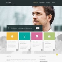conscious consulting