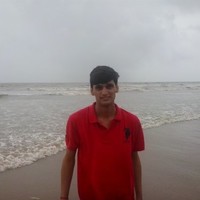 NITIN VAIDYA