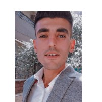 Mahmoud Elzamzamy