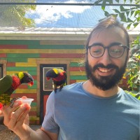 Simone Conigliaro