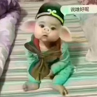 王苏涛