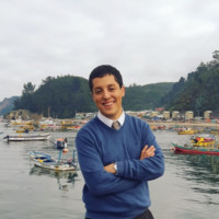 Jorge Vilches Yañez