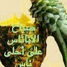 M Adam