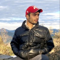 RItwik Arya