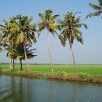 Sathyadas Purushothaman