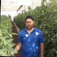 Cesar Alejandro Lopez Gamez