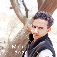محمد الحميري